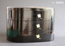 Libelul: Latest post