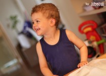 Libelul: Latest post