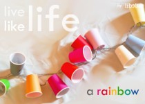 Libelul: Latest post