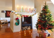 Libelul: Latest post