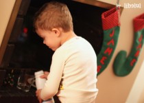 Libelul: Latest post