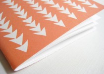 Libelul: Latest post