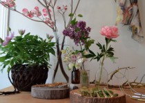 Libelul: Latest post