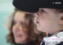 Libelul: Latest post