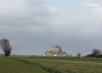 Libelul: Latest post