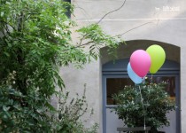 Libelul: Latest post