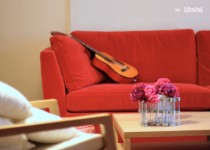 Libelul: Latest post