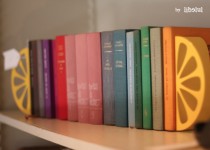 Libelul: Latest post