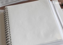 Libelul: Latest post