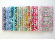 Libelul: Latest post