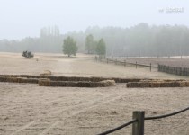 Libelul: Latest post