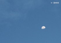 Libelul: Latest post