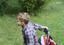 Libelul: Latest post