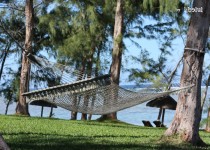 Libelul: Latest post