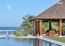 Libelul: Latest post