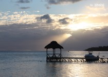 Libelul: Latest post