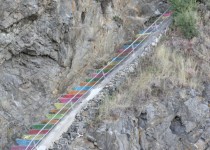 Libelul: Latest post