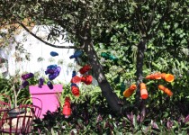 Libelul: Latest post