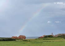 Libelul: Latest post