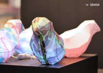 Libelul: Latest post