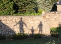 Libelul: Latest post