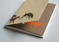 Libelul: Latest post