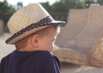 Libelul: Latest post