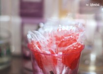 Libelul: Latest post