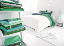 Libelul: Latest post