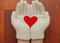 Libelul: Latest post