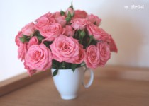 Libelul: Latest post