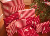 Libelul: Latest post