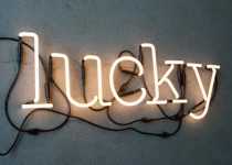 Libelul: Latest post