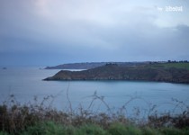 Libelul: Latest post