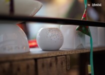 Libelul: Latest post