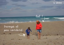 Libelul: Latest post