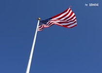 Libelul: Latest post