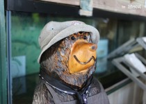 Libelul: Latest post