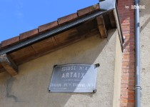 Libelul: Latest post