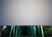 Libelul: Latest post