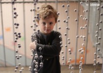 Libelul: Latest post