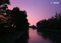 Libelul: Latest post