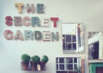 Libelul: Latest post