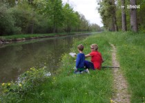 Libelul: Latest post