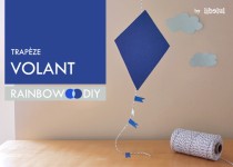 Libelul: Latest post