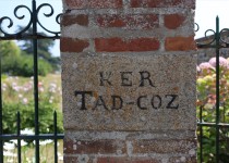 Libelul: Latest post