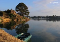 Libelul: Latest post