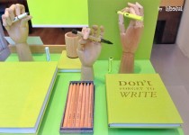 Libelul: Latest post