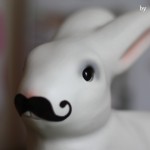 Lapin-moustache-by-libelul