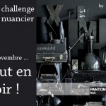 libelul-banner-challenge-nuancier6-201111